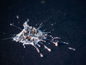 Kerajaan Kuno Ini Makmur Pada Masanya Berkat Kotoran Burung