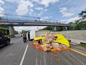 Penyebab Pikap Muat Tomat Terguling di Tol Sidoarjo Arah Surabaya