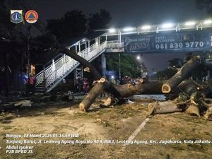 Video Pohon Tumbang Tewaskan Pemotor di Jaksel, Pramono: Biaya Ditanggung Pemprov