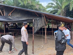 Polisi Gerebek Arena Sabung Ayam di Pangkalpinang