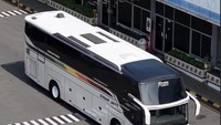 Bus Sinar Jaya Paling Kalcer Meluncur dari Garasi New Armada