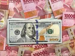 Harga Minyak Mendidih-Dolar AS Menguat, Pemerintah Diminta Segera Bertindak