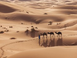 Ibnu Batutah Petualang Muslim Penjelajah Dunia di Abad ke-14