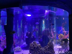 Dukung Mudik ke Jakarta, JAQS Tambah Fasilitas-Atraksi di Libur Lebaran