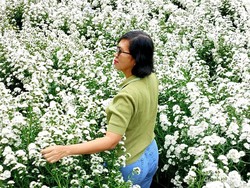 Ngabuburit Asyik di Lembang: Foto di Taman Bunga dan Petik Strawberry