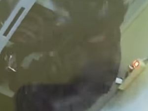 Rumah Warga Gunung Putri Bogor Dibobol, Emas Mulia 50 Gram Raib