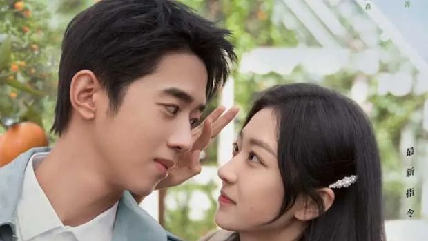 A Robot In The Orange Orchard