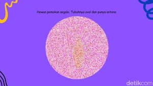 Tes Kejelian Mata 10 Detik! Nomor 1 Masih Mudah, tapi Bisa Jawab Nomor 4?