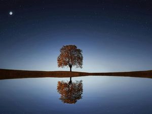 Mencari Lailatul Qadar dengan Sains, Apakah Bisa?