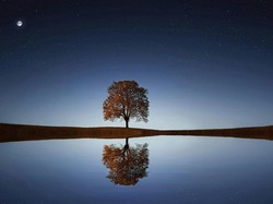 Mengapa Lailatul Qadar Tidak Diketahui Tanggal Pastinya? Begini Hikmahnya