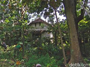 Melihat Bagian Dalam Keraton Solo yang Tak Terawat, Dipenuhi Semak-Lumut