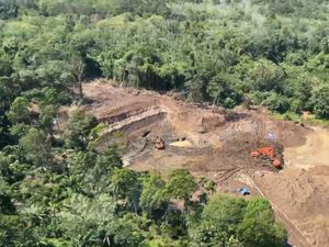 200 Hektare Lahan PTPN Lampung Rusak karena Mengandung Mercury