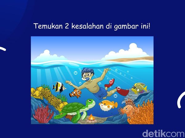 Ayo Jadi Detektif! Temukan Apa yang Janggal dari Gambar Ini?