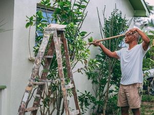 Segini Harga Cat Dinding Eksterior untuk Luar Rumah Terbaru 2026