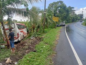 Disenggol Truk Tronton, Bus MK Trans Terperosok ke Ladang Warga di Tabanan