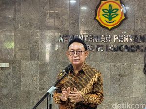 Pengusaha Happy Produksi Sawit RI Naik Jadi 56 Juta Ton