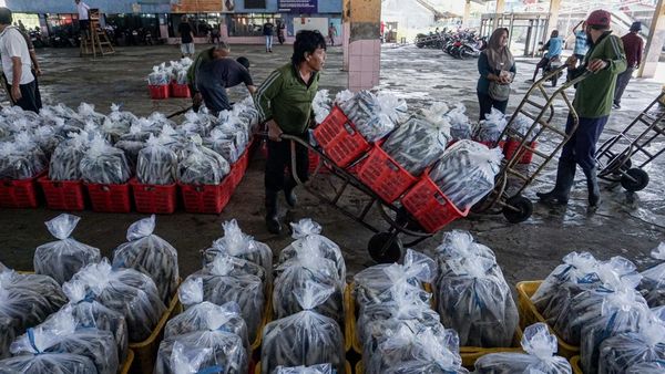 Nelayan Terimbas Cuaca, Harga Ikan Naik Jelang Lebaran