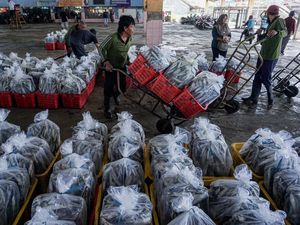 Nelayan Terimbas Cuaca, Harga Ikan Naik Jelang Lebaran