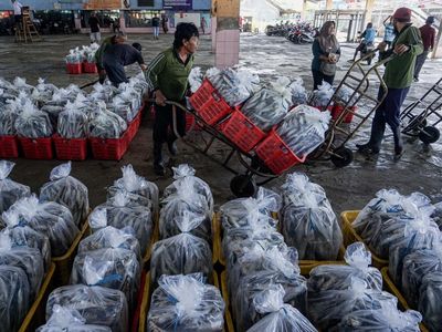 Nelayan Terimbas Cuaca, Harga Ikan Naik Jelang Lebaran