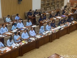 Agrinas Bilang Dirutnya Sakit, Anggota DPR Mau Cek di Mana