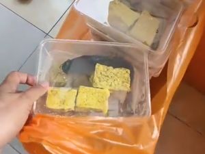 Fakta-fakta Viral MBG Lele Mentah Ditolak SMAN 2 Pamekasan