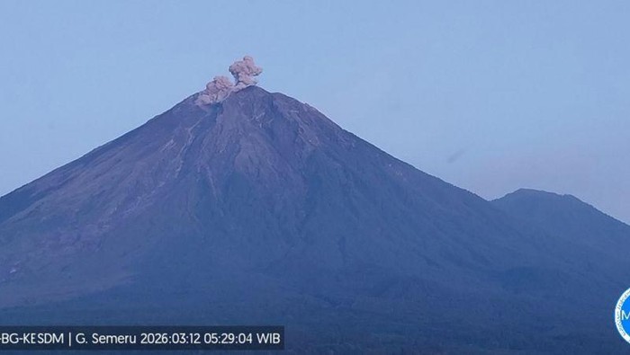 Gunung Semeru Erupsi Empat Kali, Kolom Letusan Mencapai 600 Meter