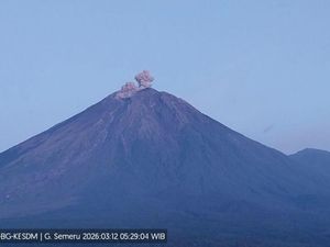 Gunung Semeru 4 Kali Erupsi, Tinggi Letusan Capai 600 Meter