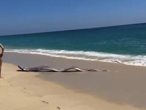 Dua Ikan Tanda Kiamat Muncul ke Pantai Meksiko, Bikin Geger