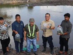 Komitmen AIP Dukung Program Nelayan di Siak, Tebar Benih Ikan Jaga Ekosistem