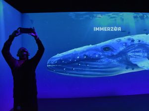 Museum Zoologi Bogor Hadirkan Ruang Imersif Dunia Satwa