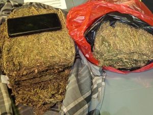 Polisi Gerebek Rumah Pengedar Narkoba di Depok, Ganja 4,3 Kg Disita