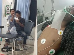 Pria di Musi Rawas Tewas Digigit Ular Kobra Saat Ngopi di Teras Rumah Kakaknya