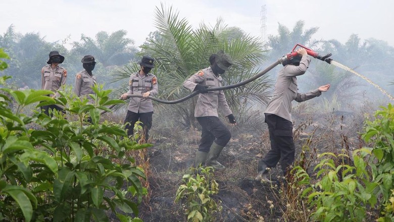 Sumsel Siaga Karhutla di Tengah Ancaman El Nino