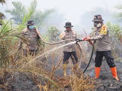 30 Hektare Lahan di Rohil Terbakar, Kapolres Ikut Turun Padamkan