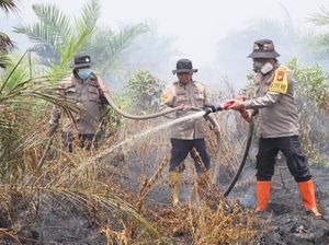 30 Hektare Lahan di Rohil Terbakar, Kapolres Ikut Turun Padamkan