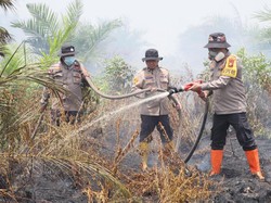 30 Hektare Lahan di Rohil Terbakar, Kapolres Ikut Turun Padamkan