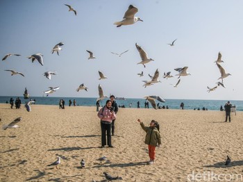 Korea Selatan dalam Bingkai Foto: Modern, Tradisional, dan Penuh Warna