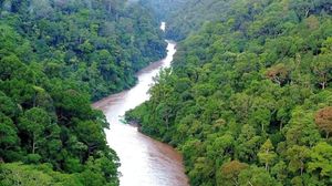 Aksi Sang Motoris Long Boat!