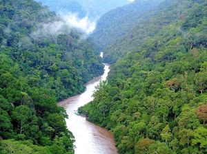 Aksi Sang Motoris Long Boat!