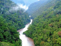 Para Pemberani yang Bikin Urat Nadi Ekonomi Berdetak di Sungai Ganas Kaltara
