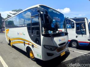 Bertahan Digempur Bus Modern, Minibus Denpasar-Gilimanuk Masih Eksis