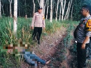 Pria di Lampung Tewas Ditusuk Tetangga, Jasadnya Ditemukan di Kebun Karet