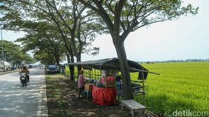 Posko Mudik - Warung Pinggir Pantura Masih Sepi Pemudik
