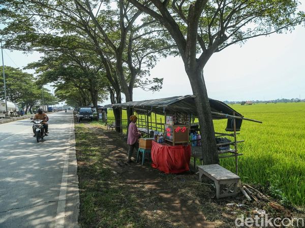 Posko Mudik - Warung Pinggir Pantura Masih Sepi Pemudik