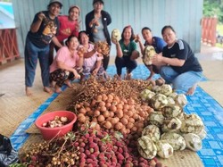 Buah Eksotis dari Krayan, Cita Rasa Peninggalan Nenek Moyang Jadi Unggulan