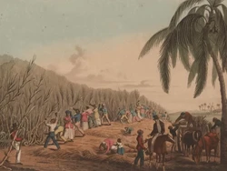 Tak Banyak yang Tahu, 4 Makanan Ini Membentuk Peradaban Dunia