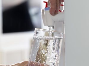 Hati-hati! BPA Tak Cuma Ada di Galon, Paparan Kronis Bisa Ganggu Tumbuh Kembang Anak