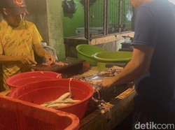 Harga Ikan Giling di Palembang Tembus Rp 120 Ribu/Kg Jelang Lebaran