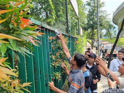 PN Jakpus Gelar Konstatering Hotel Sultan, PPKGBK Tegaskan Aset Milik Negara