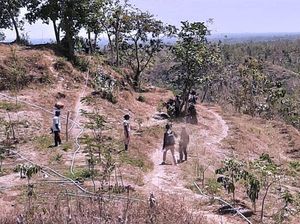 PT BSI Serahkan Lahan Kompensasi Terluas di Indonesia